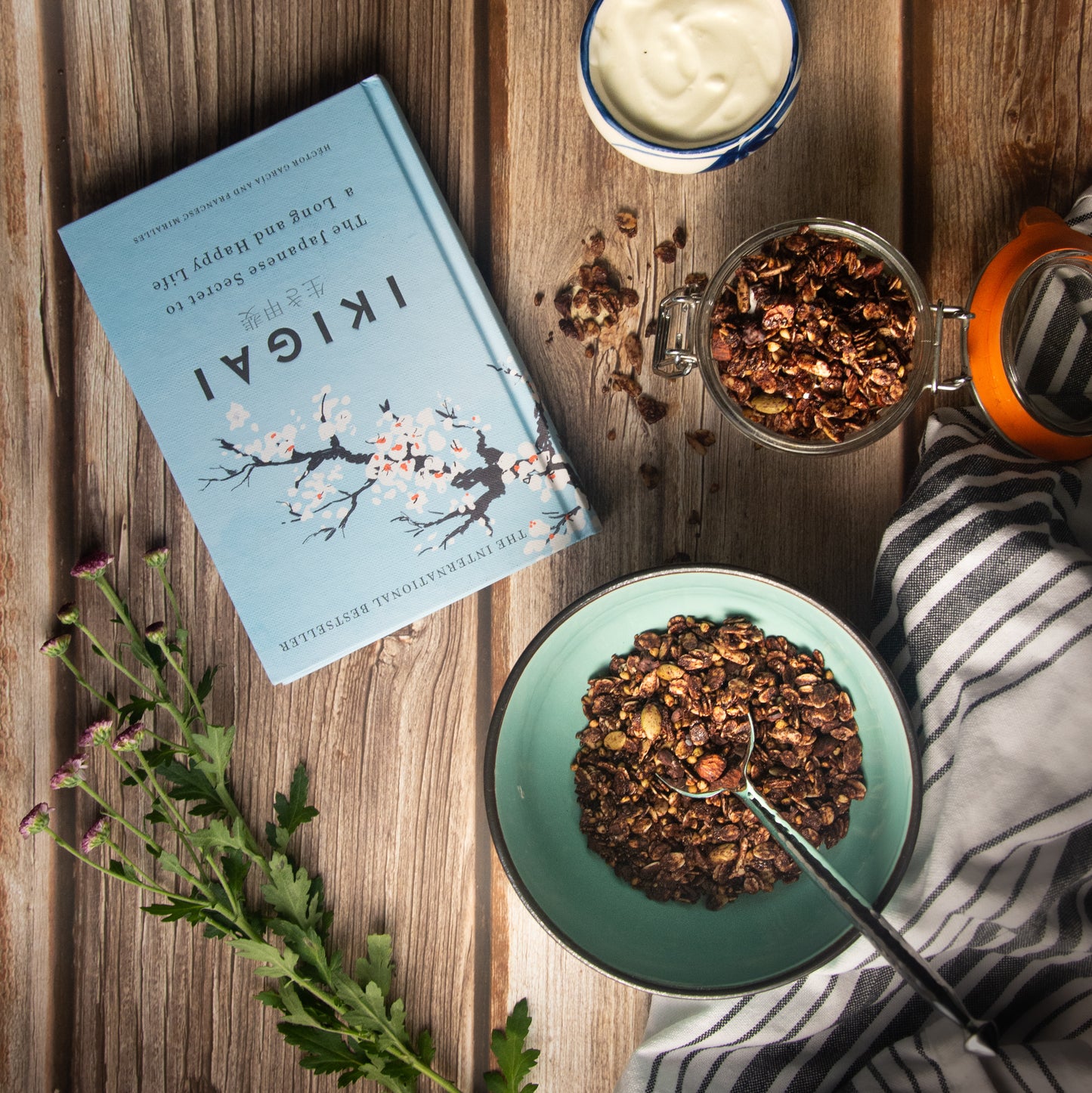 Choco-chia Granola